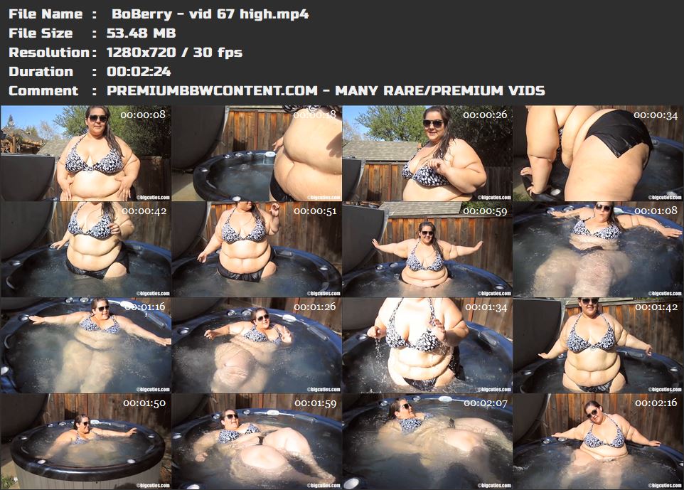  BoBerry - vid 67 high thumbnails