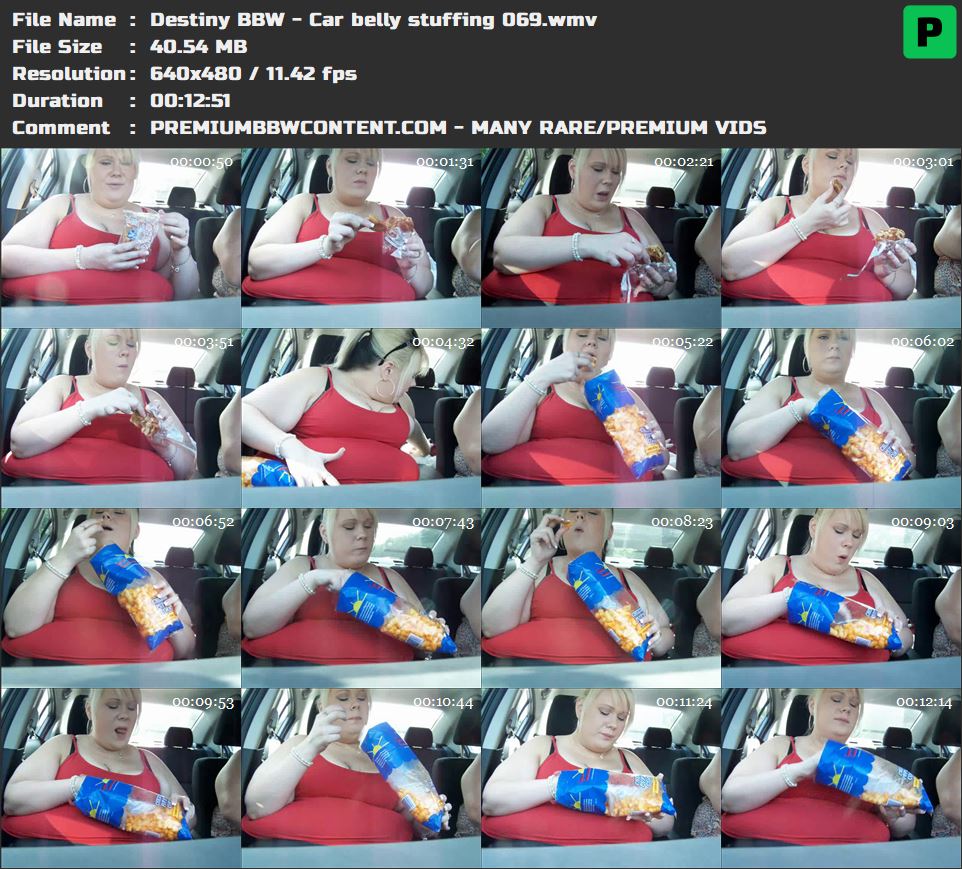 Destiny BBW - Car belly stuffing 069 thumbnails