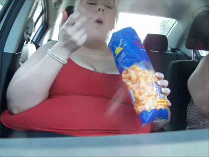 Destiny BBW - Car belly stuffing 069