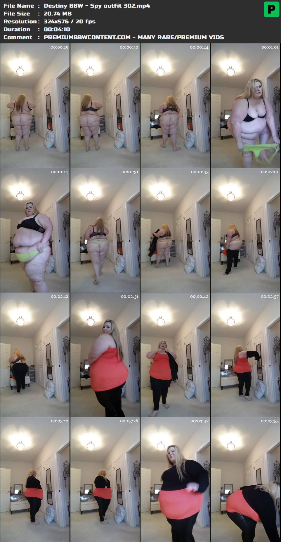 Destiny BBW - Spy outfit 302 thumbnails