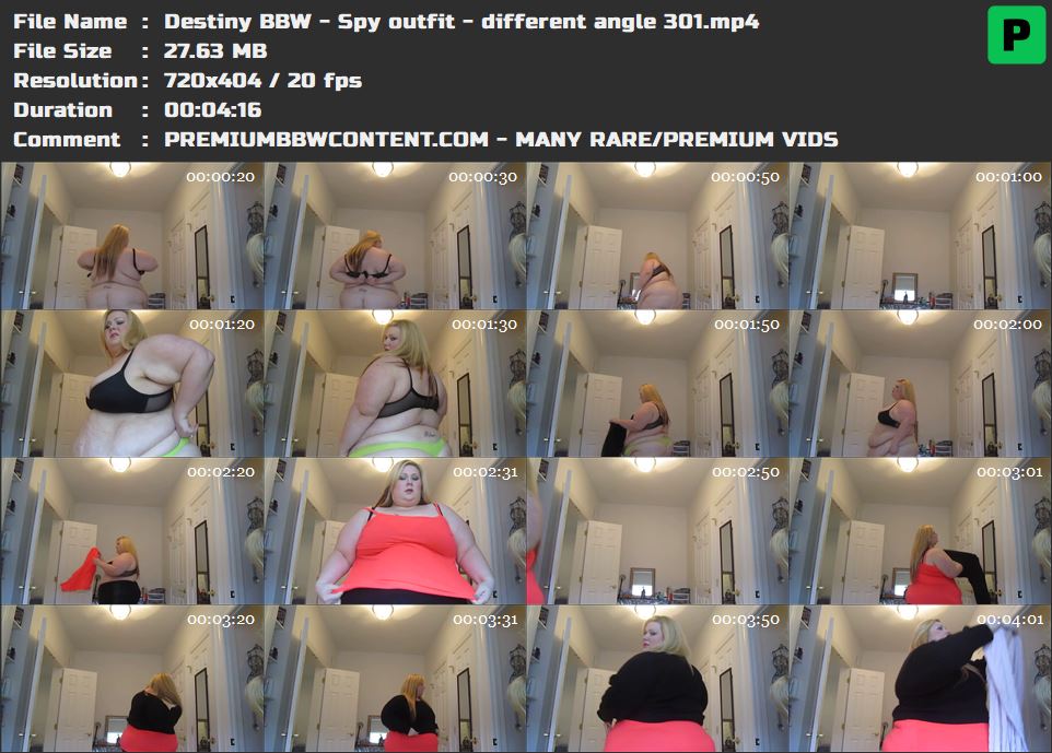 Destiny BBW - Spy outfit - different angle 301 thumbnails