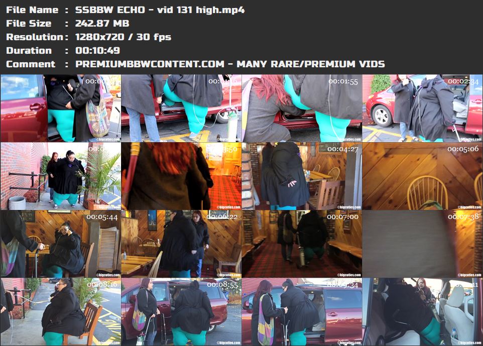 SSBBW ECHO - vid 131 high thumbnails