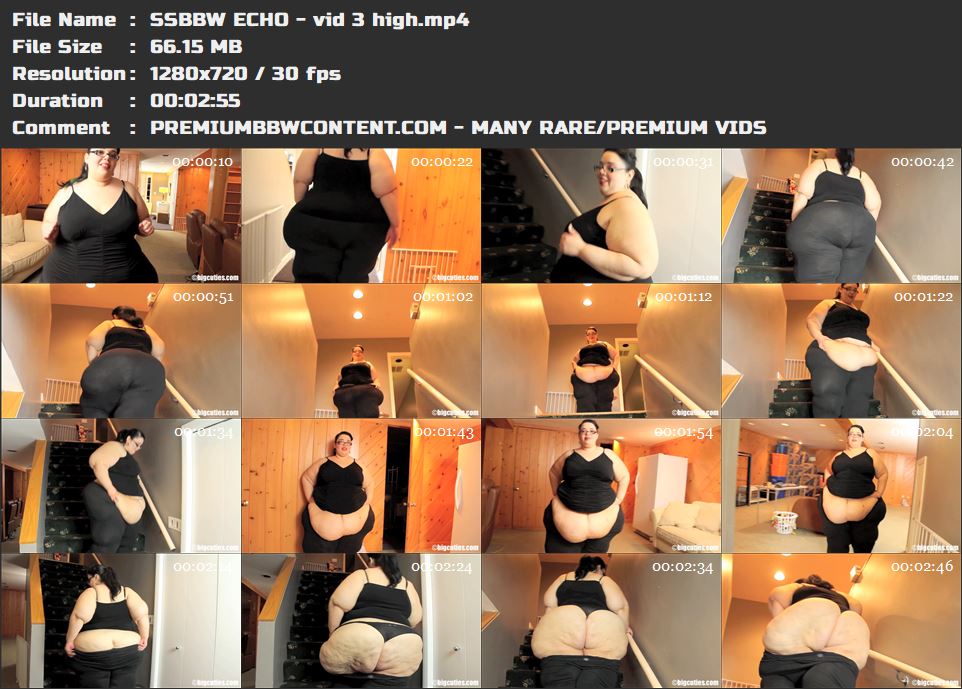 SSBBW ECHO - vid 3 high thumbnails