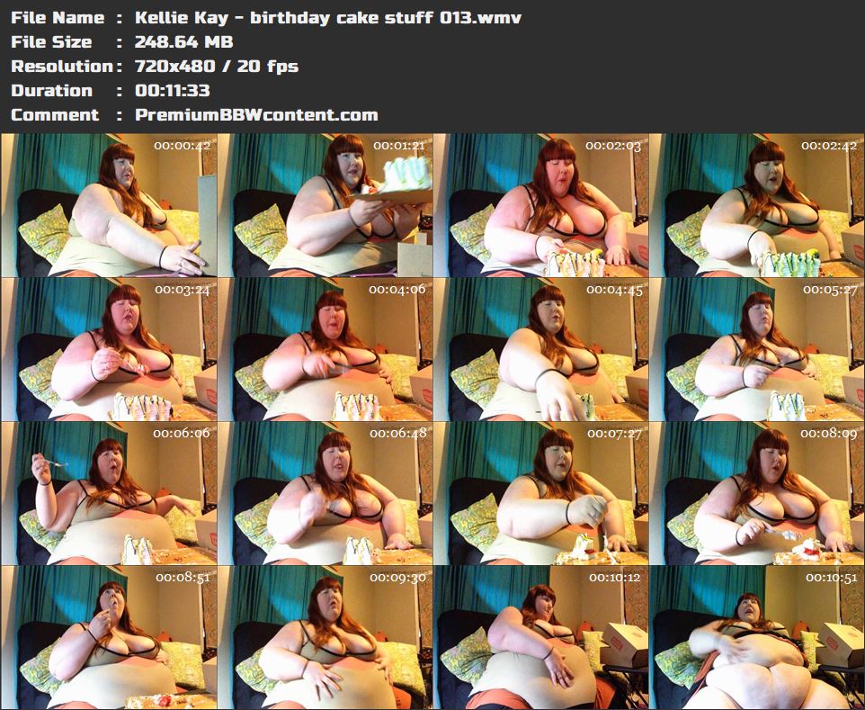Kellie Kay - birthday cake stuff 013 thumbnails