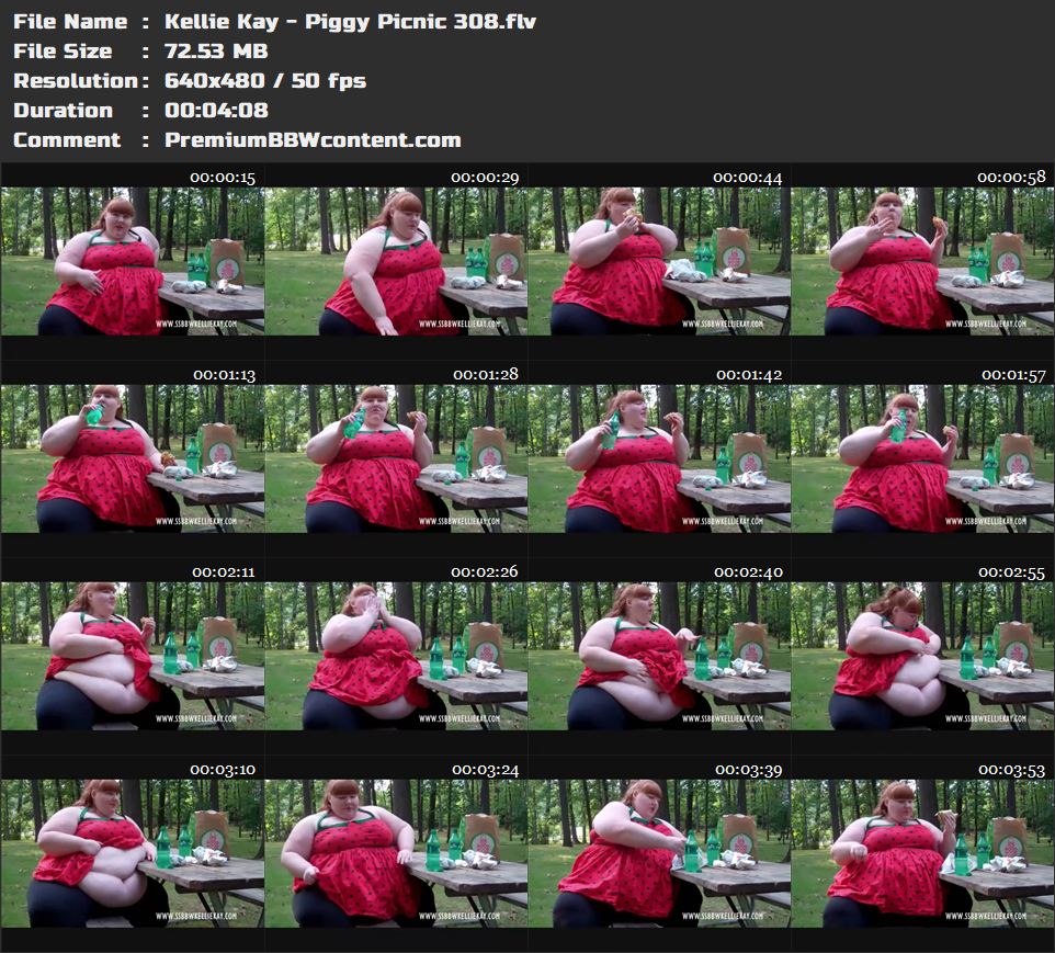 Kellie Kay - Piggy Picnic 308 thumbnails
