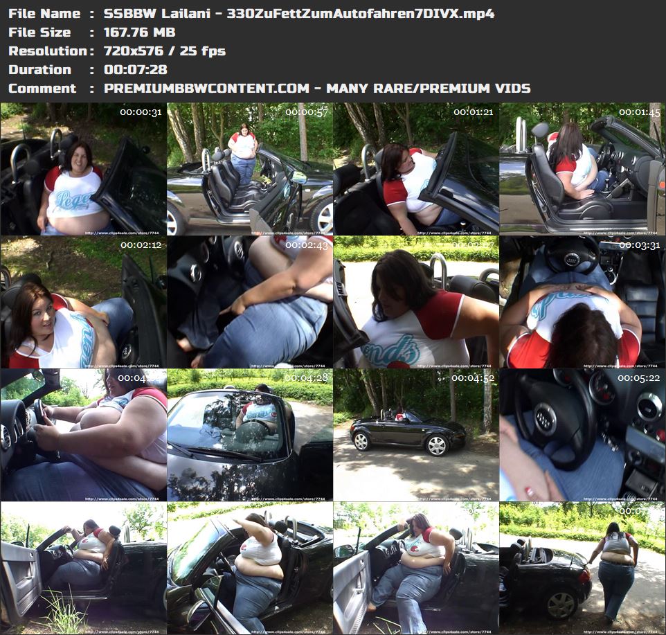 SSBBW Lailani - 330ZuFettZumAutofahren7DIVX thumbnails