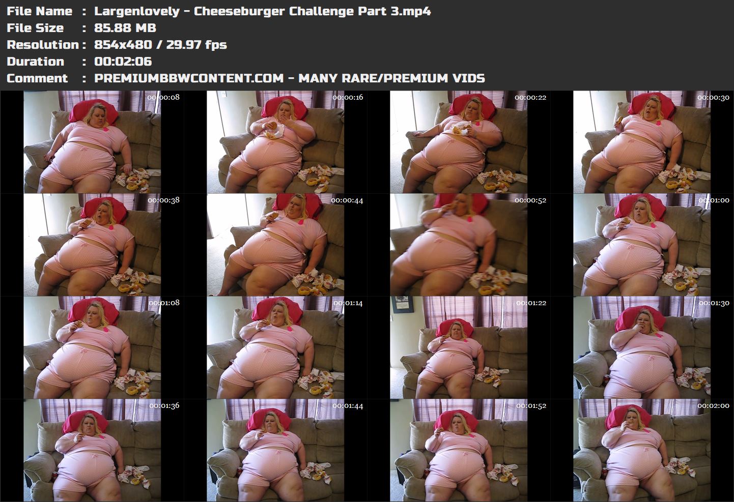 Largenlovely - Cheeseburger Challenge Part 3 thumbnails