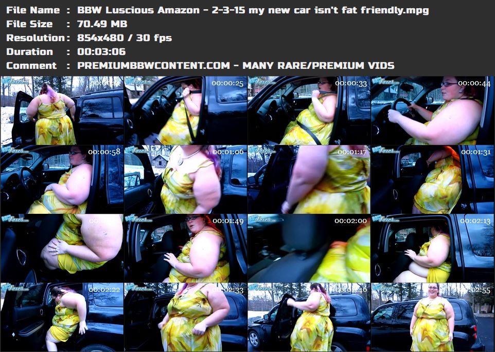 BBW Luscious Amazon - 2-3-15 my new car isn't fat friendly thumbnails