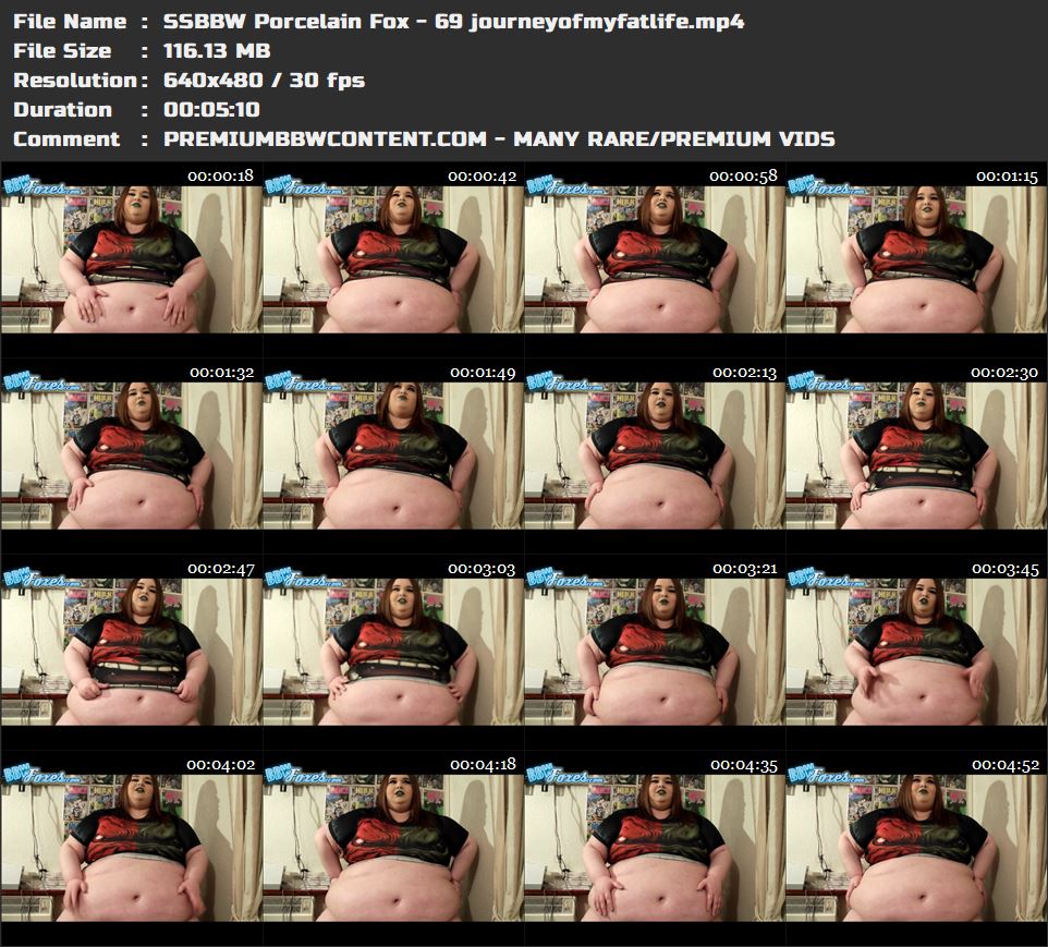 SSBBW Porcelain Fox - 69 journeyofmyfatlife thumbnails
