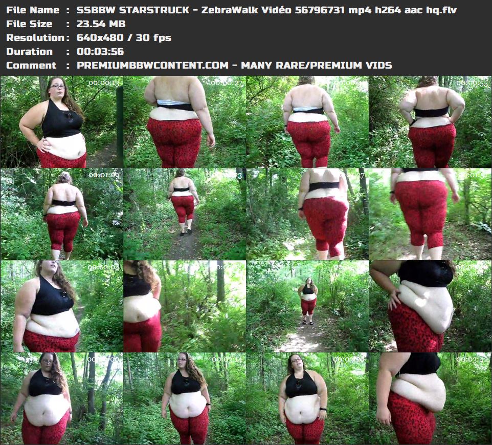 SSBBW STARSTRUCK - ZebraWalk VidÃ©o 56796731 mp4 h264 aac hq thumbnails