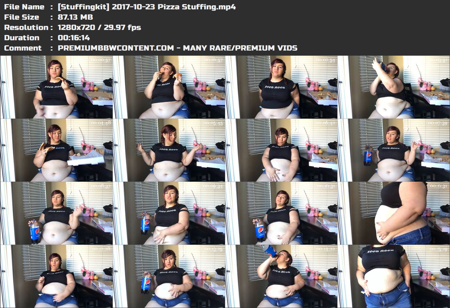 [Stuffingkit] 2017-10-23 Pizza Stuffing thumbnails
