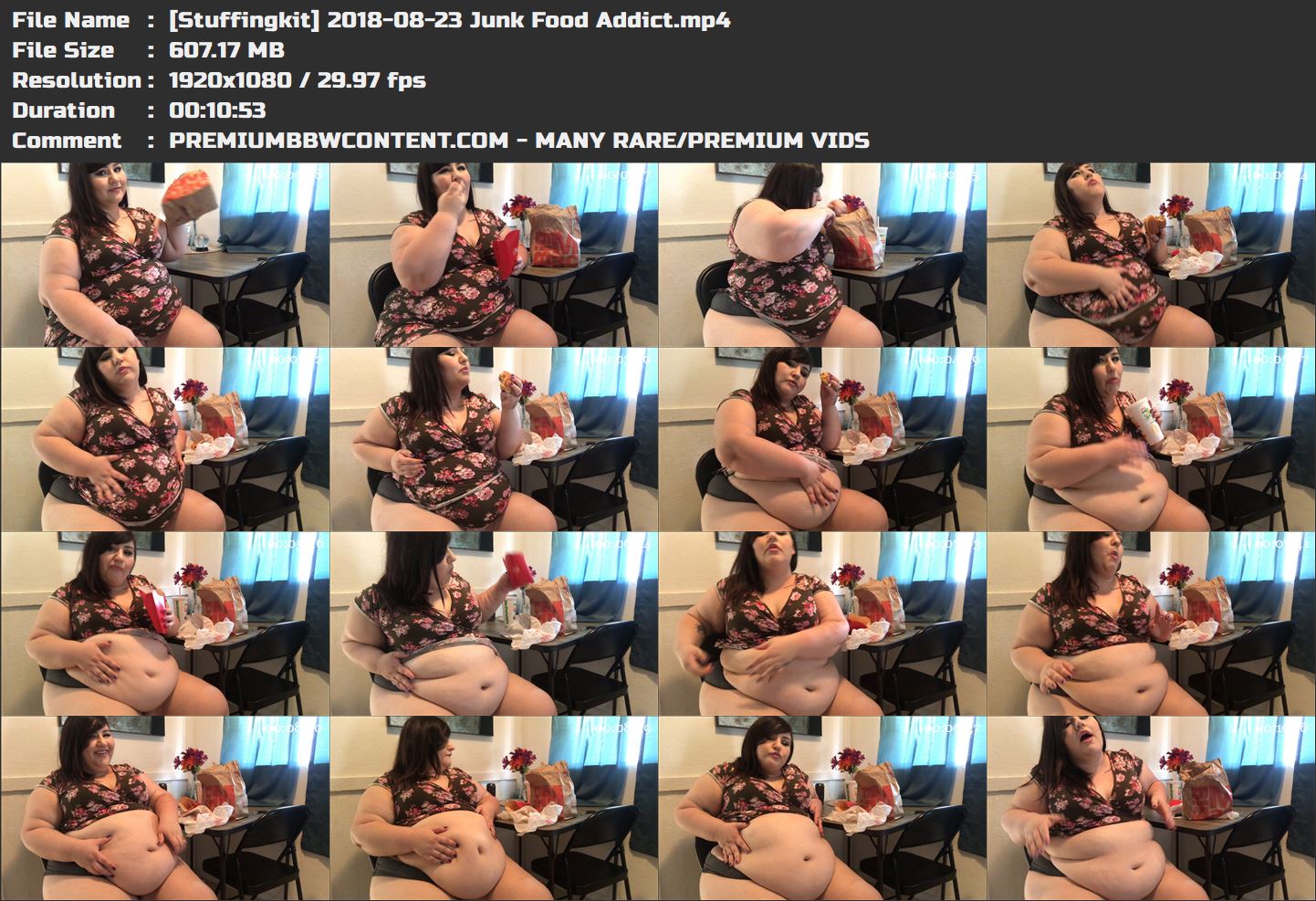 [Stuffingkit] 2018-08-23 Junk Food Addict thumbnails