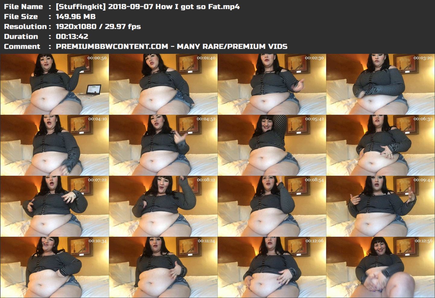 [Stuffingkit] 2018-09-07 How I got so Fat thumbnails