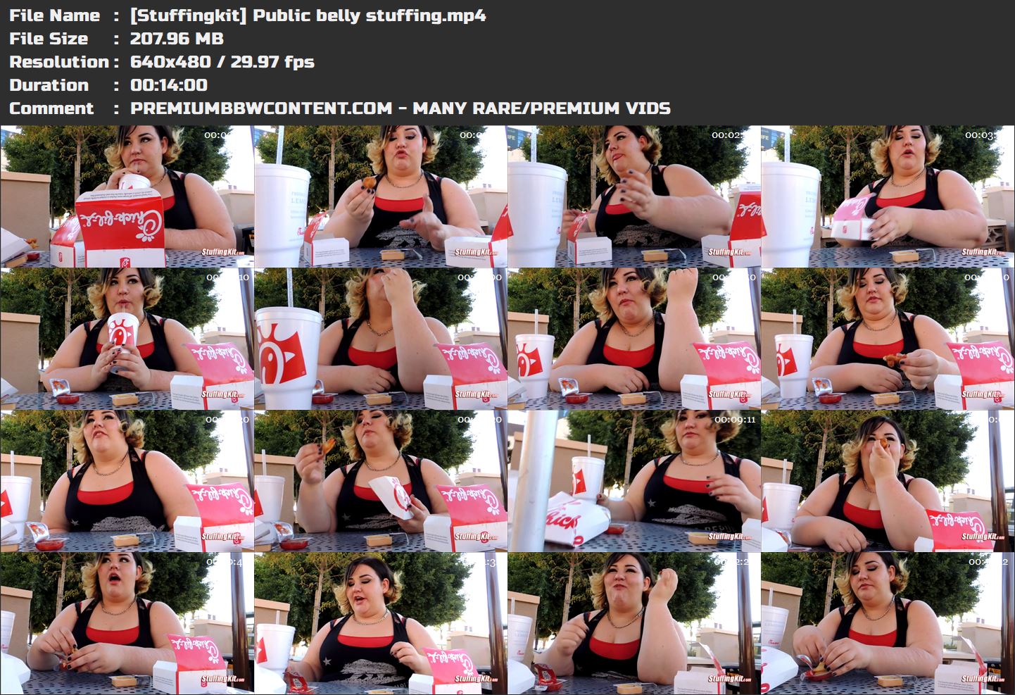 [Stuffingkit] Public belly stuffing thumbnails