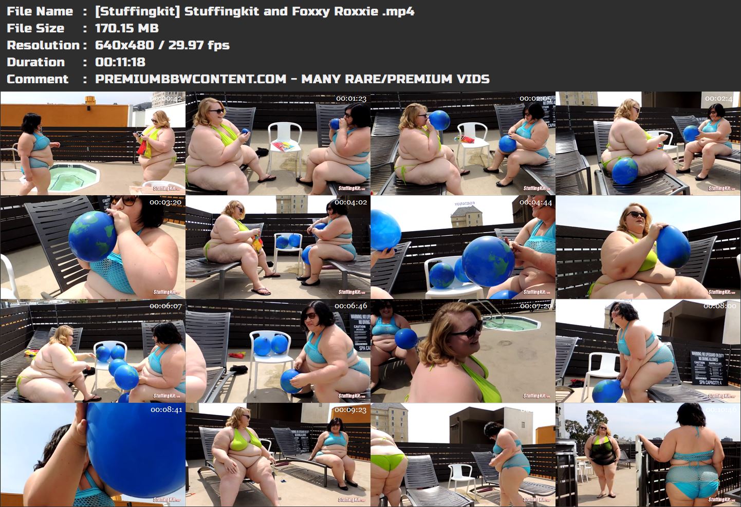 [Stuffingkit] Stuffingkit and Foxxy Roxxie  thumbnails