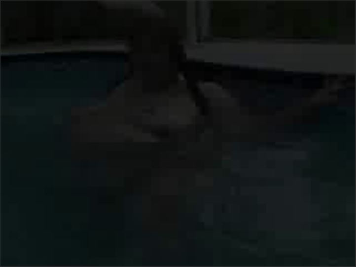 Trudy - southerntrailer