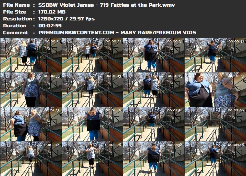 SSBBW Violet James - 719 Fatties at the Park thumbnails