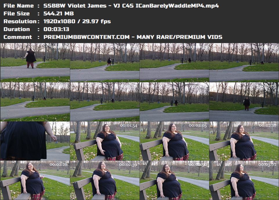 SSBBW Violet James - VJ C4S ICanBarelyWaddleMP4 thumbnails